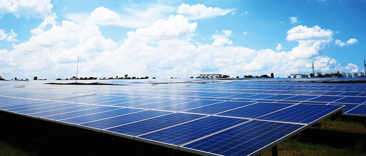 Seraphim Supplies 66MW of PV Modules to India