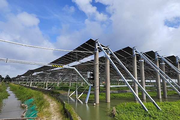 Chongming Island Fishery-solar Hybrid Project